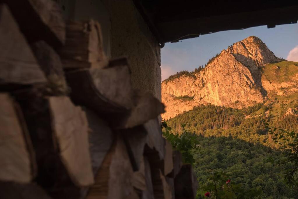 Le Bel Appartement De Montagne Bellevaux Bagian luar foto