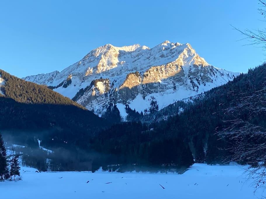 Le Bel Appartement De Montagne Bellevaux Bagian luar foto
