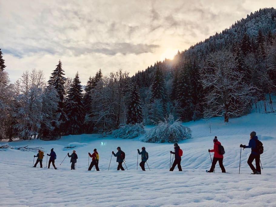 Le Bel Appartement De Montagne Bellevaux Bagian luar foto