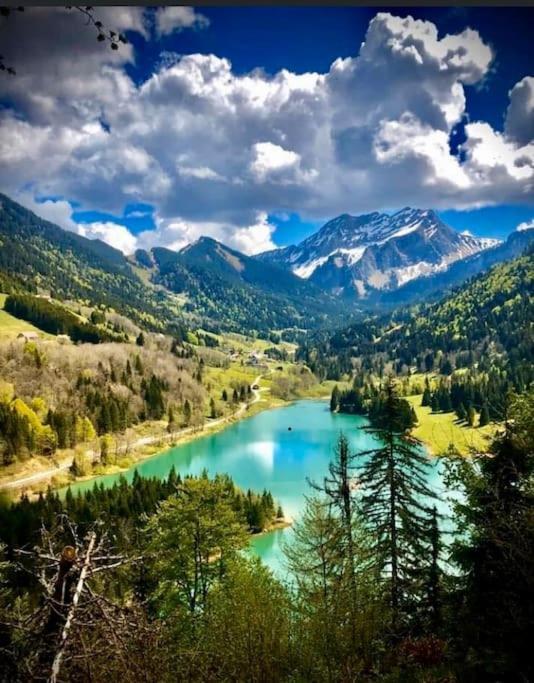 Le Bel Appartement De Montagne Bellevaux Bagian luar foto